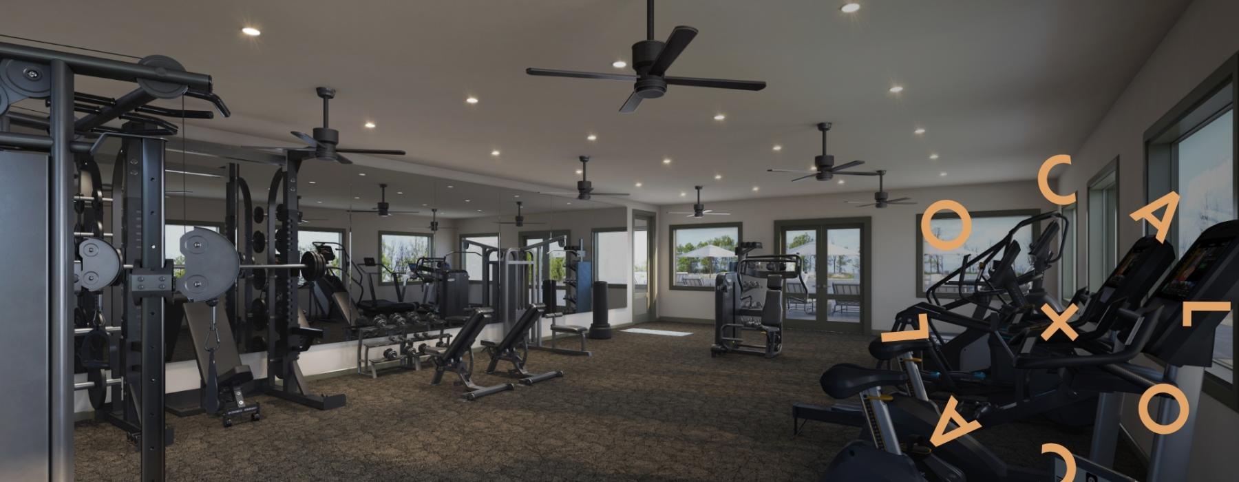 Fitness center at LOCAL Dripping Springs apartments on 290