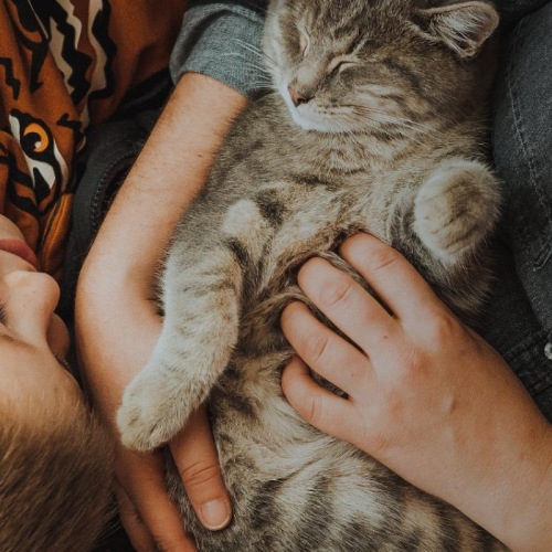 a person holding a cat